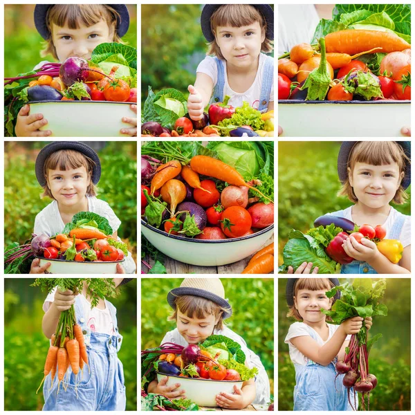 Çocuk ve sebze. Seçici odak. 