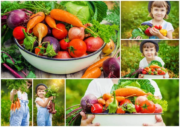 Çocuk ve sebze. Seçici odak. 