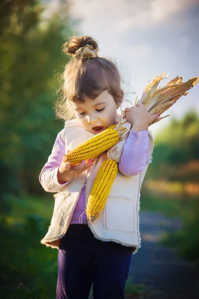 Child with corn. Selective focus. — Stock Photo, Image