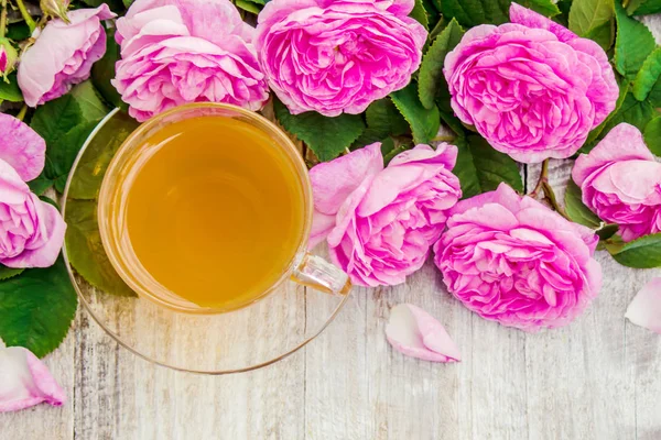 Ceai, trandafir de ceai, trandafir, Focalizare selectivă . — Fotografie, imagine de stoc