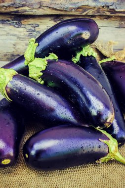 Patlıcan. Seçici odak. 