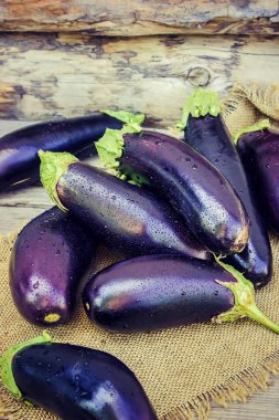 Patlıcan. Seçici odak. 