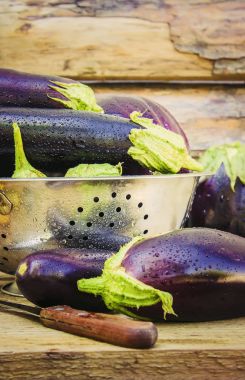 Patlıcan. Seçici odak.