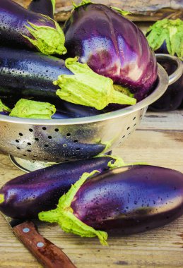 Patlıcan. Seçici odak.