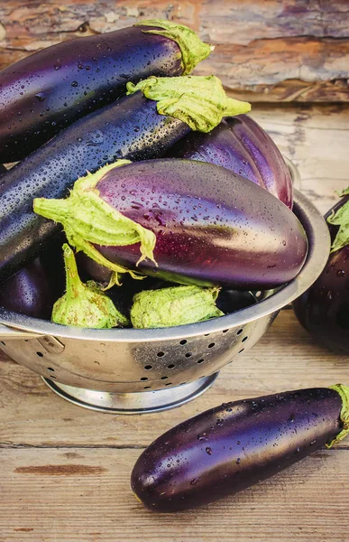 Patlıcan. Seçici odak.