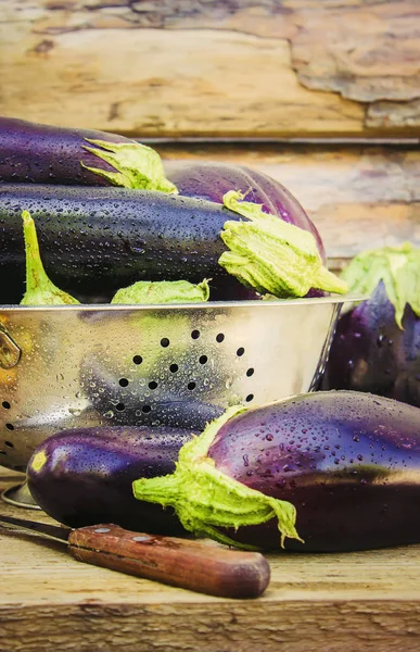 Patlıcan. Seçici odak.