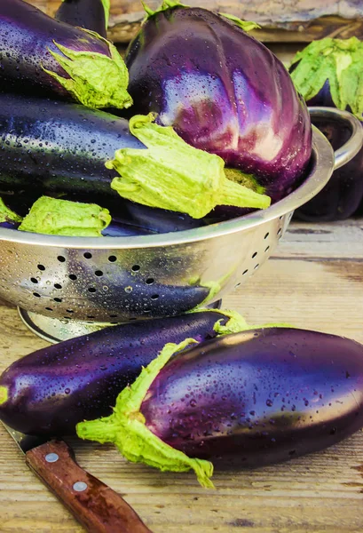 Patlıcan. Seçici odak.