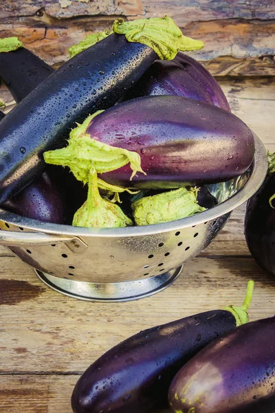 Patlıcan. Seçici odak.