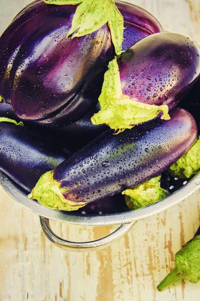 Patlıcan. Seçici odak.