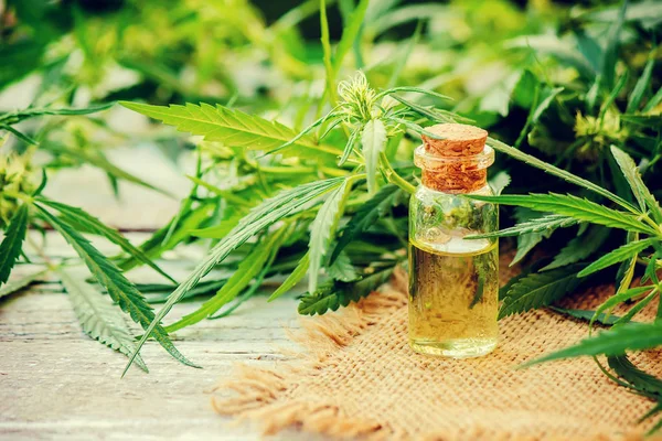 Esrar bitki ve tedavi (et suyu, tentür, özü, petrol) için bırakır. Seçici odak.