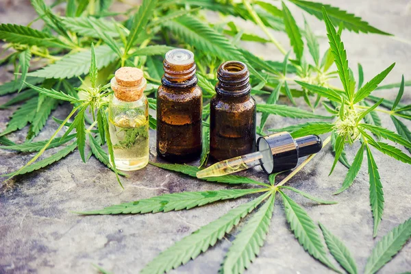 Kannabisznövény és levelek kezelésére (húsleves, tinktúra, kivonat, olaj). Szelektív összpontosít. — Stock Fotó