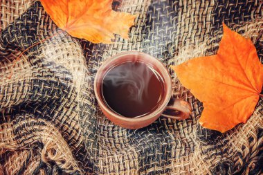 Bir fincan çay. Konfor. Seçici odak. 