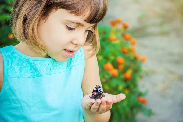 Enfant avec un papillon. Concentration sélective . — Photo