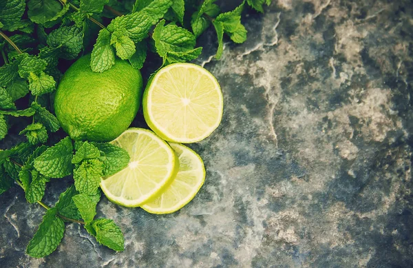 Limon ve nane. Seçici odak. 