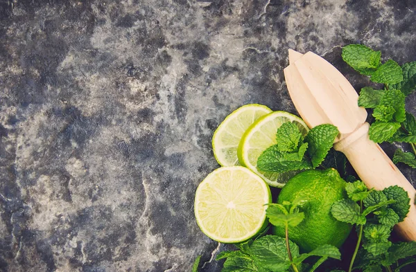 Limon ve nane. Seçici odak. 