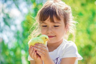 Çocuk bir tavuk elinde tutar. Kız ve kuş. Seçici odak. 