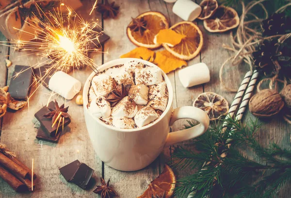 Hatmi ile Noel içki. Seçici odak. 