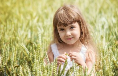 Buğday alan çocuk. seçici odak. 