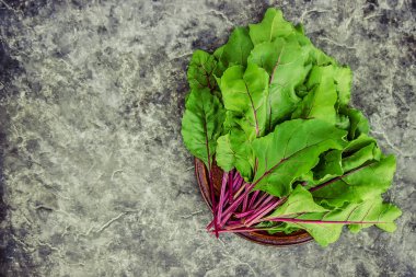 pancar yaprakları. Mangold. seçici odak.