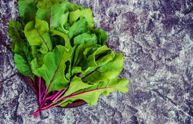 pancar yaprakları. Mangold. seçici odak.