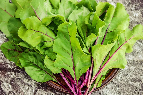 pancar yaprakları. Mangold. seçici odak.