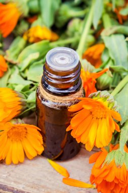 Küçük bir şişe içinde kadife çiçeği özü. Şifalı otlar. Seçici odak. 