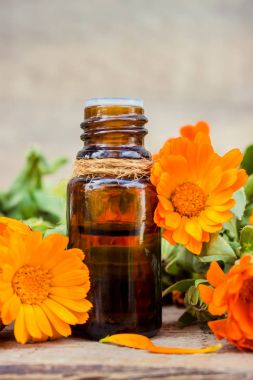 Küçük bir şişe içinde kadife çiçeği özü. Şifalı otlar. Seçici odak. 