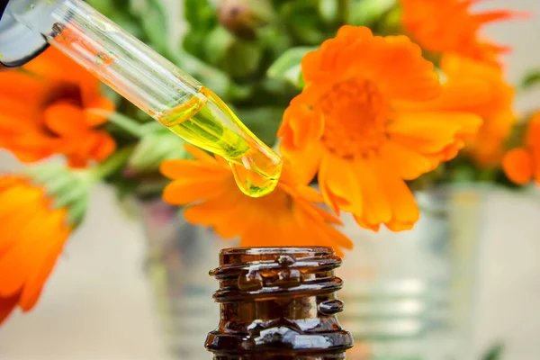 Küçük bir şişe içinde kadife çiçeği özü. Şifalı otlar. Seçici odak. 
