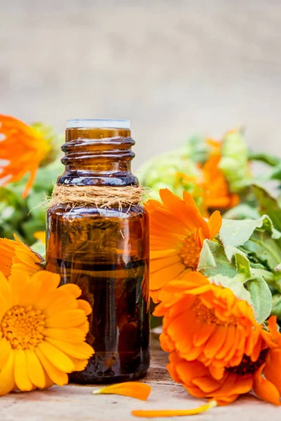 Marigold kivonat egy kis üveg. Gyógynövények. Szelektív összpontosít. — Stock Fotó