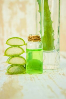 Aloe vera. Seçici odak. 