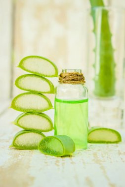 Aloe vera. Seçici odak. 