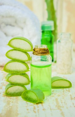 Aloe vera. Seçici odak. 