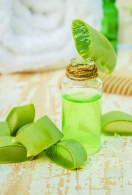 Aloe vera. Seçici odak. 