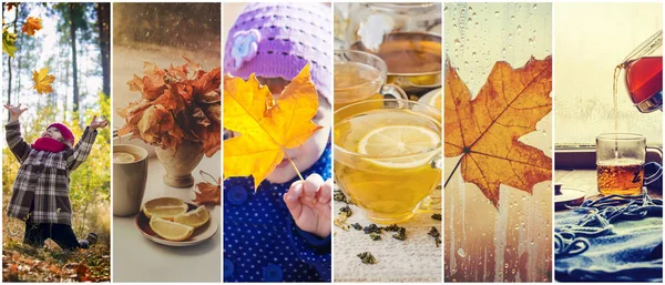 Collage de niños y otoño. Enfoque selectivo . — Foto de Stock