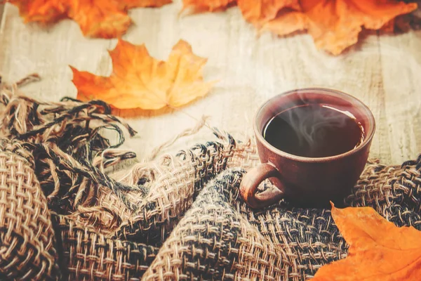 Una taza de té. Comodidad. Enfoque selectivo . — Foto de Stock