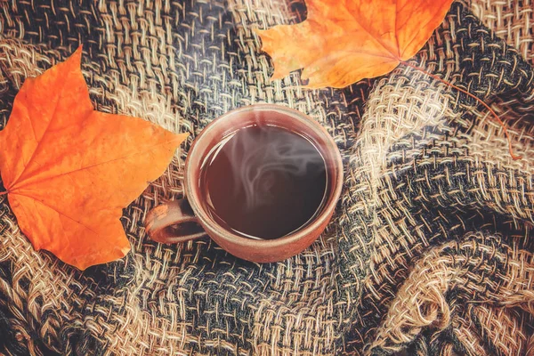 紅茶のカップ。快適さ。選択と集中. — ストック写真