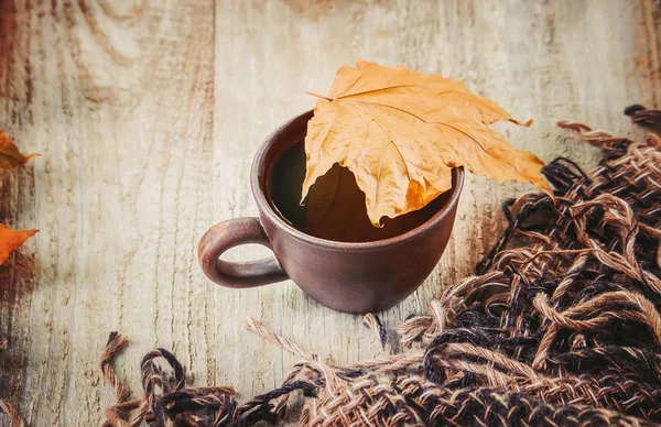 Bir fincan çay. Konfor. Seçici odak. 