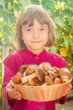 Orman bir çocuğun elinde mantar. Seçici odak. 