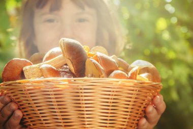 Orman bir çocuğun elinde mantar. Seçici odak. 