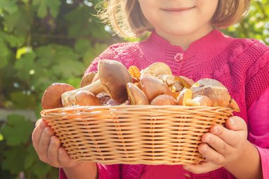 Orman bir çocuğun elinde mantar. Seçici odak. 