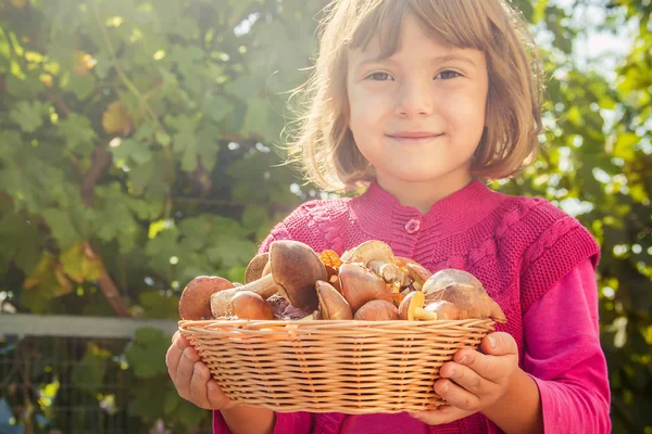 Orman bir çocuğun elinde mantar. Seçici odak. 