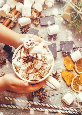 Hatmi ile Noel içki. Seçici odak. 