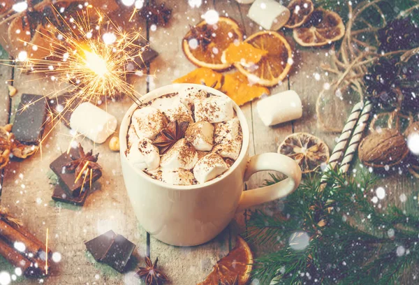 Hatmi ile Noel içki. Seçici odak. 