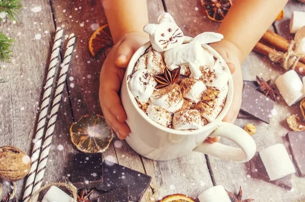 Hatmi ile Noel içki. Seçici odak. 