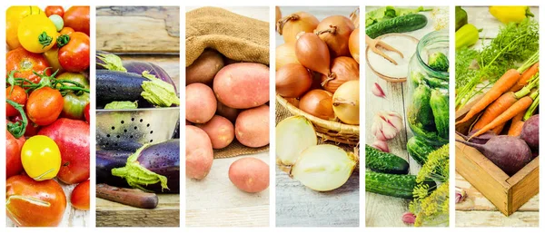 Collage de diferentes verduras. Comida vegetariana . —  Fotos de Stock