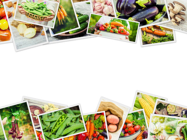 Коллаж из разных овощей. Вегетарианская еда
.