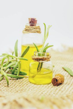 Rosemary ile petrol çıkarmak. Seçici odak.