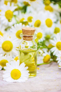 Papatya esans. Seçici odak. 