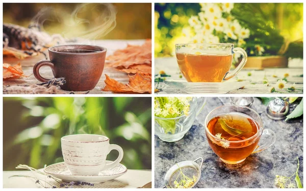 Collage of tea. Selective focus. — Stock Photo, Image