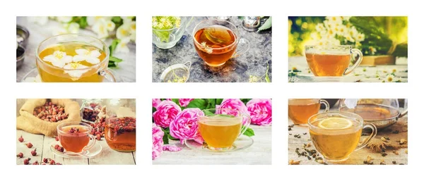 Collage von Tee. Selektiver Fokus. — Stockfoto